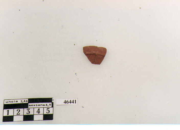 orlo, Hayes, stile C/D, stampo 6 (sec. V d.C)