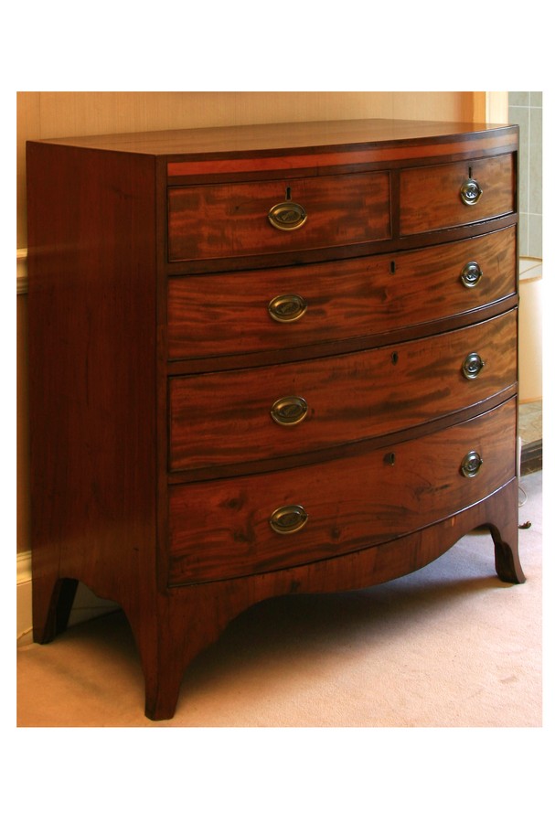 cassettone - ambito inglese (metà sec. XIX)