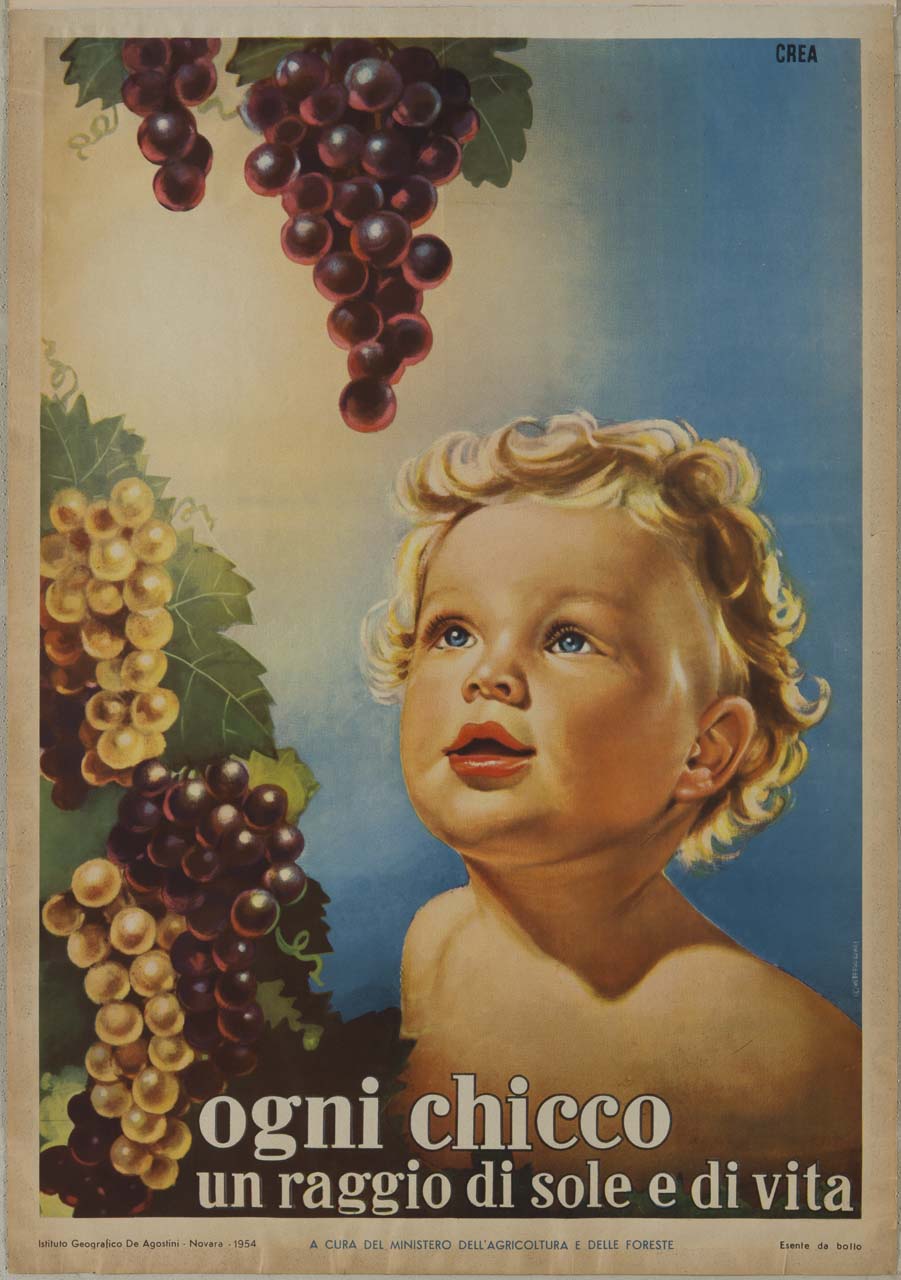 mezzobusto di bambino che rivolge lo sguardo verso dei grappoli d'uva rossa e bianca (manifesto) di Carpagni - ambito italiano (sec. XX)
