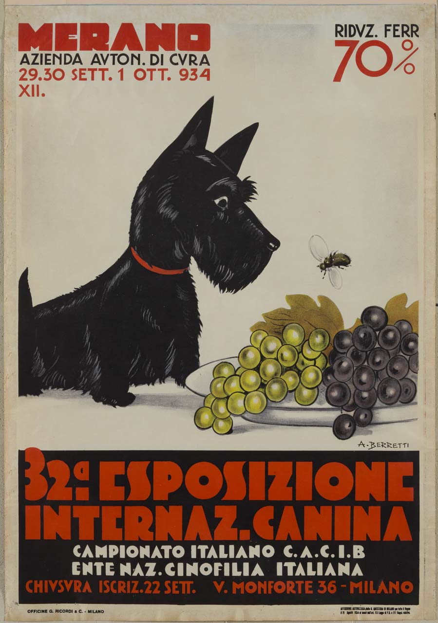 un cane terrier scozzese fissa una mosca che vola sopra un piatto con dell'uva (manifesto) di Berretti Alessandro (sec. XX)