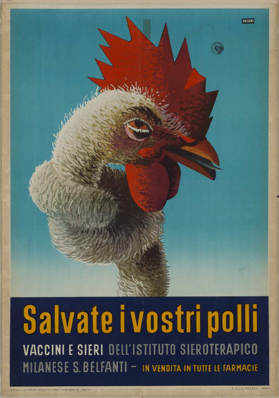 testa di pollo con il collo annodato (manifesto) di Oriani Luigi (metà sec. XX)