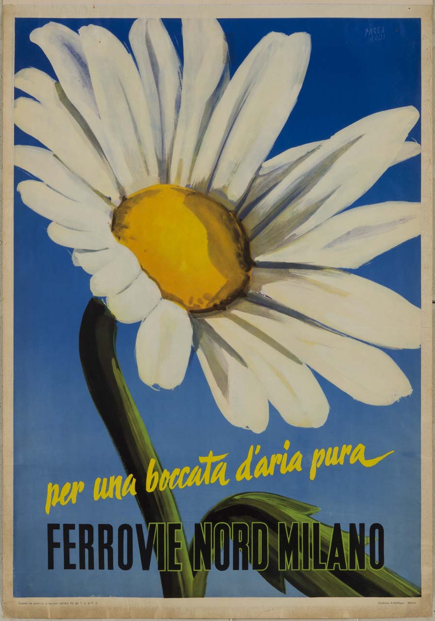 margherita (manifesto) di Dradi Carlo (sec. XX)