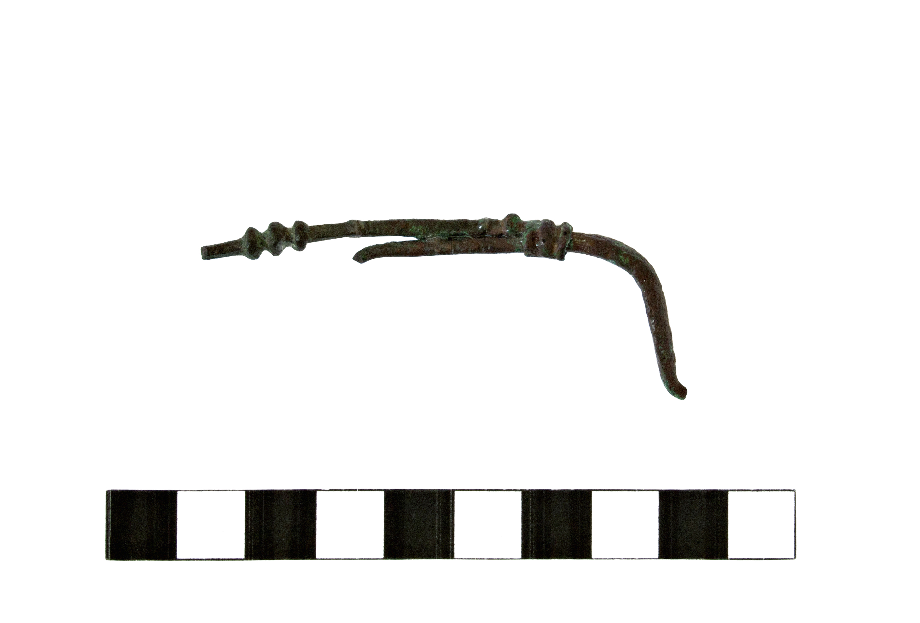 Fibula. a staffa