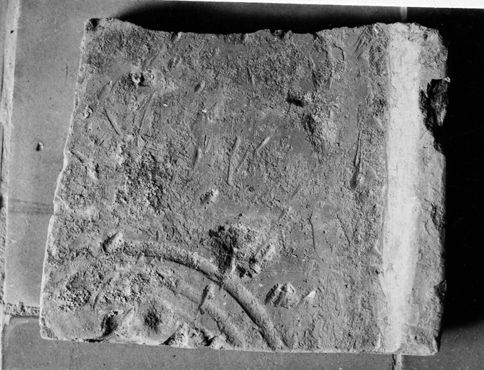 tegola (frammento di) - officina laterizia locale (età imperiale)