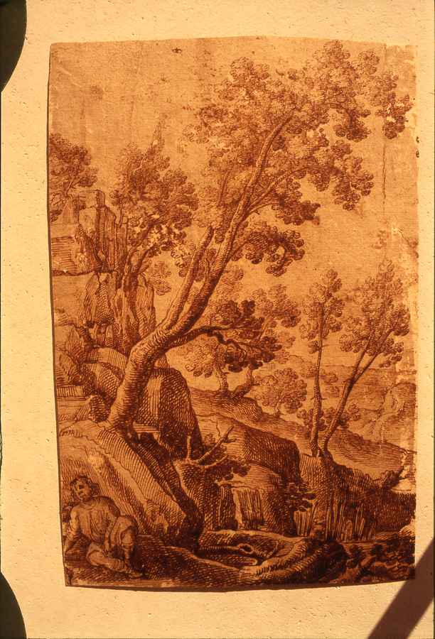 paesaggio con alberi (disegno) - ambito europeo (secc. XVIII/ XIX)