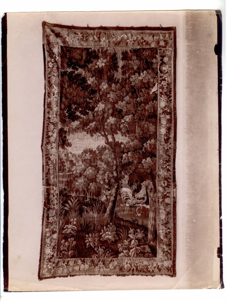 commercio antiquario-Volpi, Elia (positivo) di Edizioni Brogi (inizio XX)