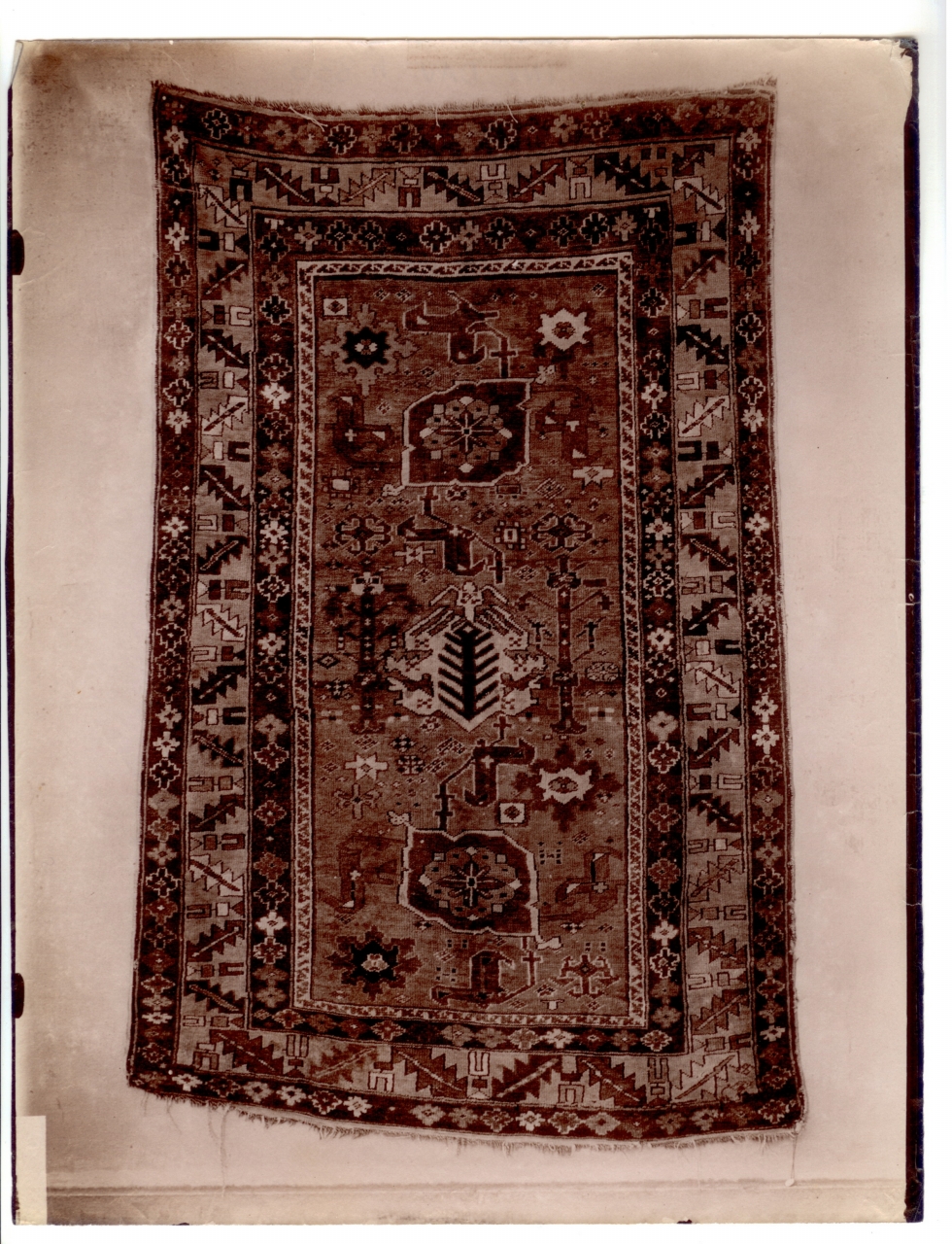 commercio antiquario-Volpi, Elia (positivo) di Edizioni Brogi (inizio XX)