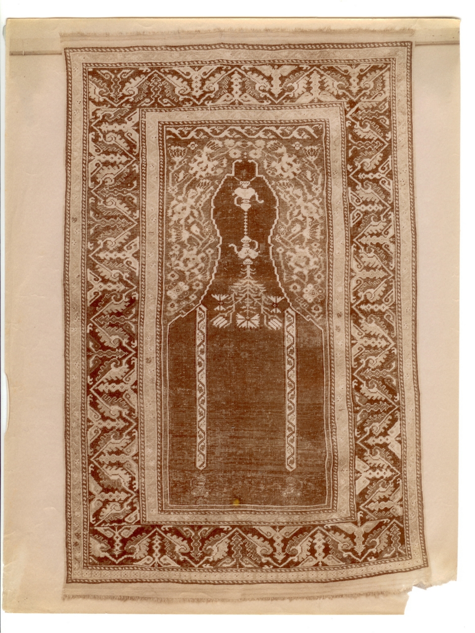 commercio antiquario-Volpi, Elia (positivo) di Edizioni Brogi (inizio XX)