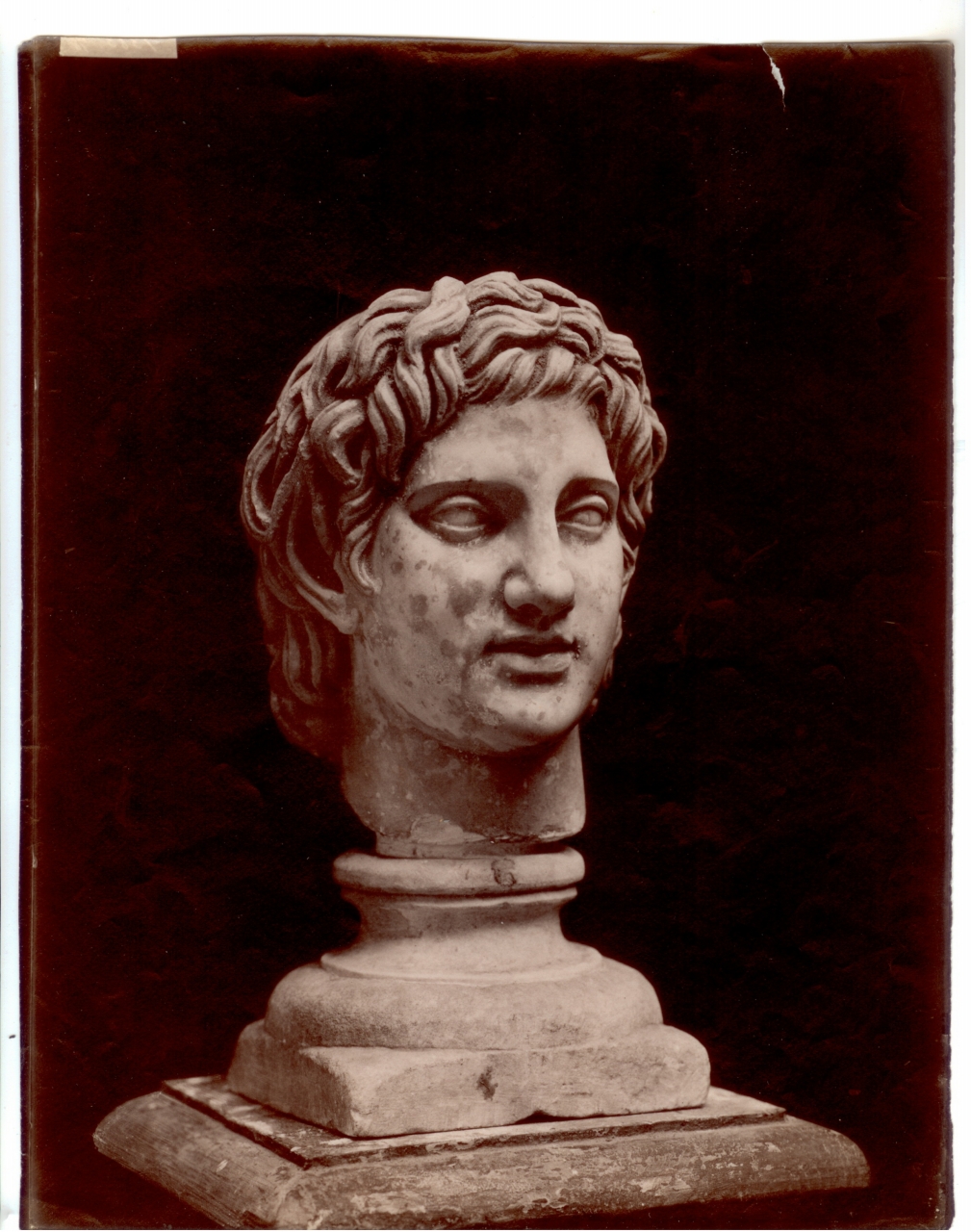 arte classica-scultura-scultura romana-erme (positivo) di Edizioni Brogi (attr) (inizio XX)