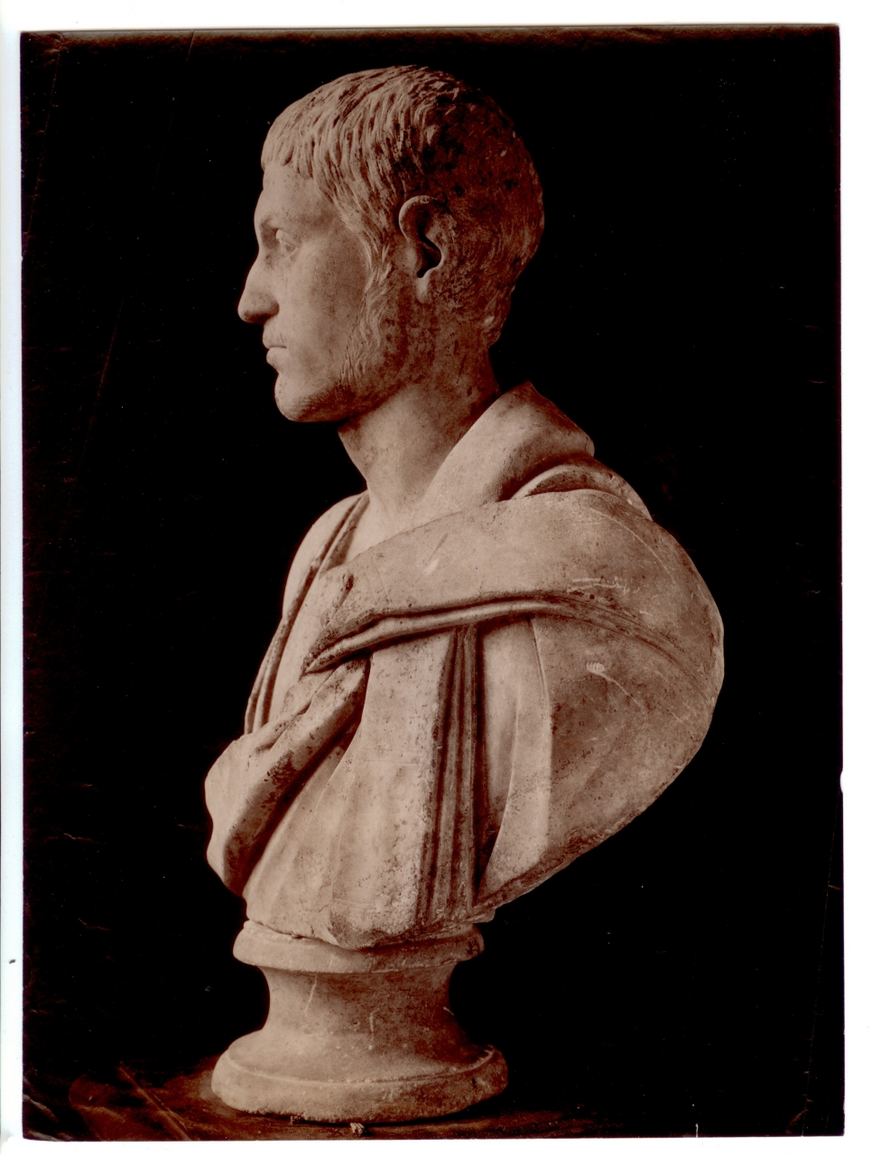 commercio antiquario-Volpi, Elia (positivo) di Edizioni Brogi (attr) (inizio XX)