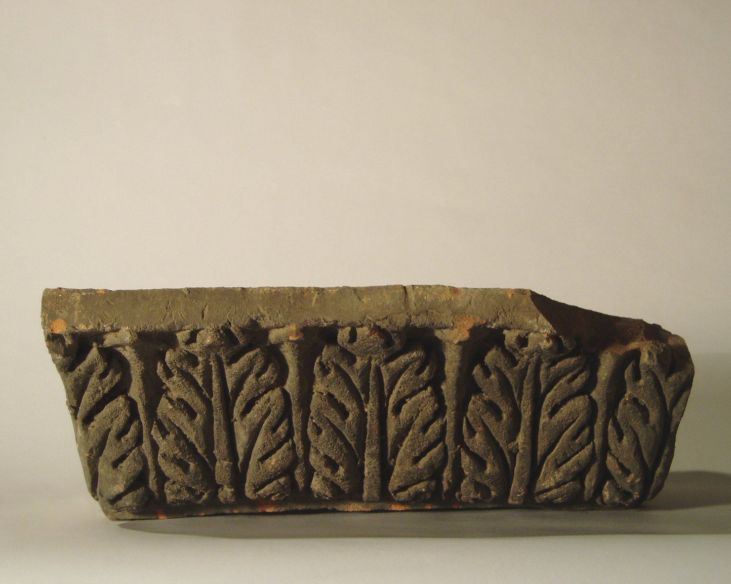 motivo decorativo a foglie d'acanto (elemento di decorazione architettonica a rilievo - profilo a gola diritta) - manifattura mantovana (?) (XIX)