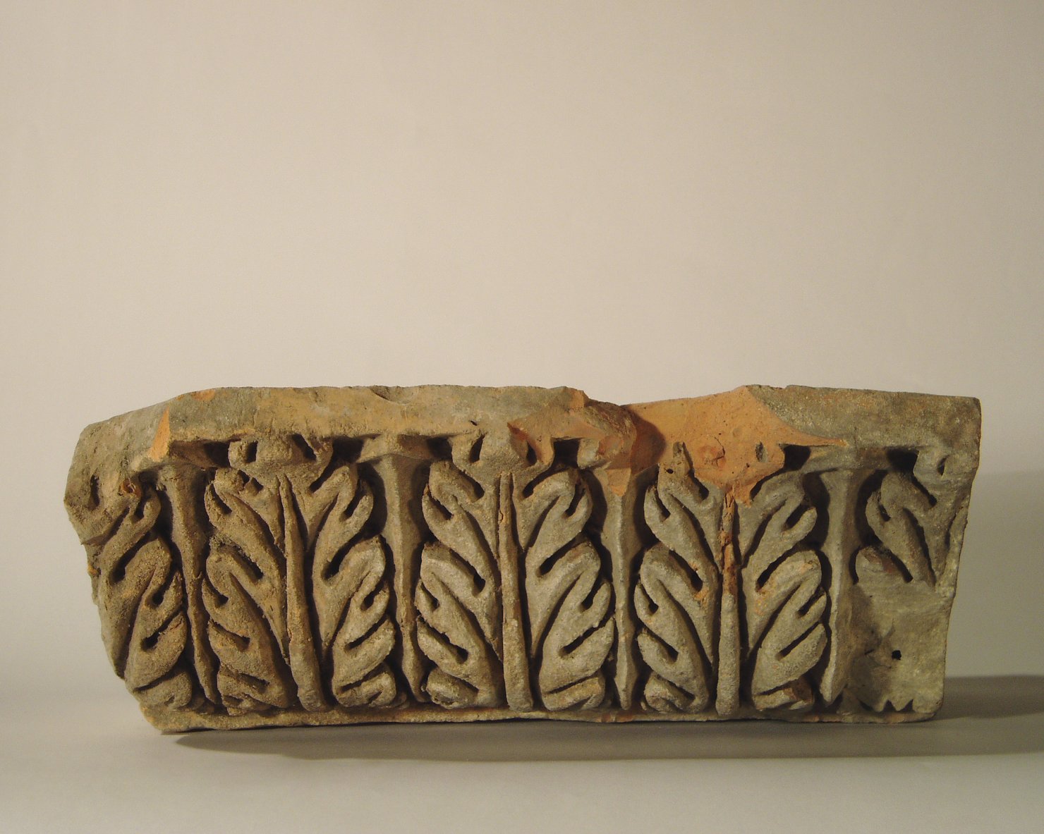 motivo decorativo a foglie d'acanto (elemento di decorazione architettonica a rilievo - profilo a gola diritta) - manifattura mantovana (?) (XIX)