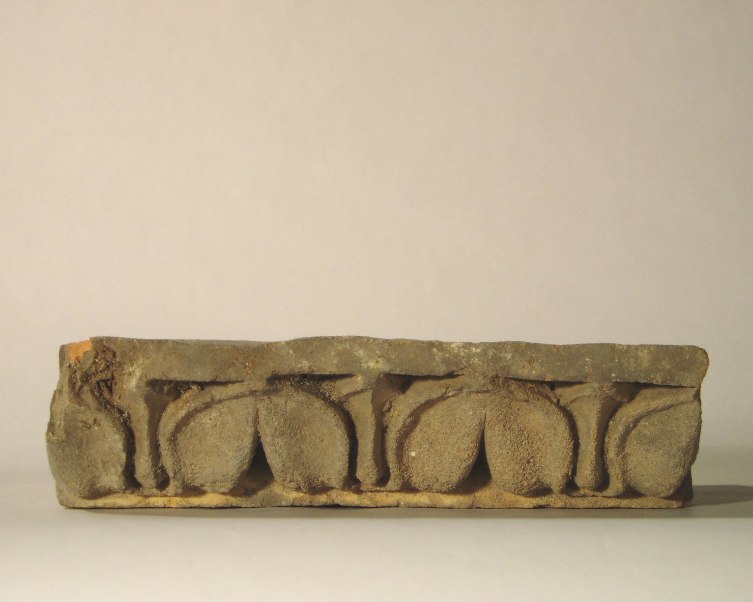 motivo decorativo a foglia e lingua (elemento di decorazione architettonica a rilievo - profilo a gola diritta) - manifattura mantovana (?) (XIX)