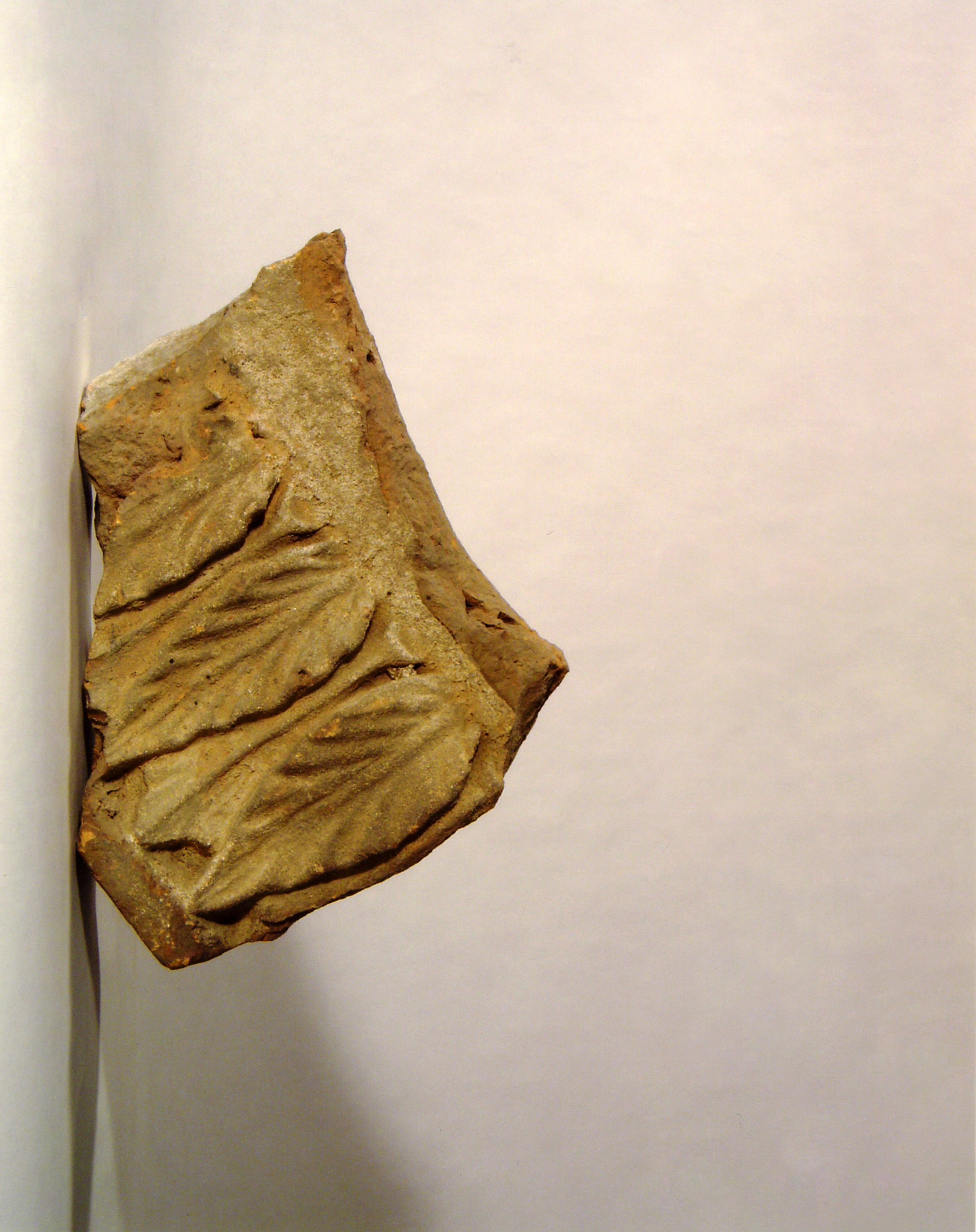 motivo decorativo fitomorfo (elemento di decorazione architettonica a rilievo, frammento) - manifattura mantovana (?) (XV/ XVI)