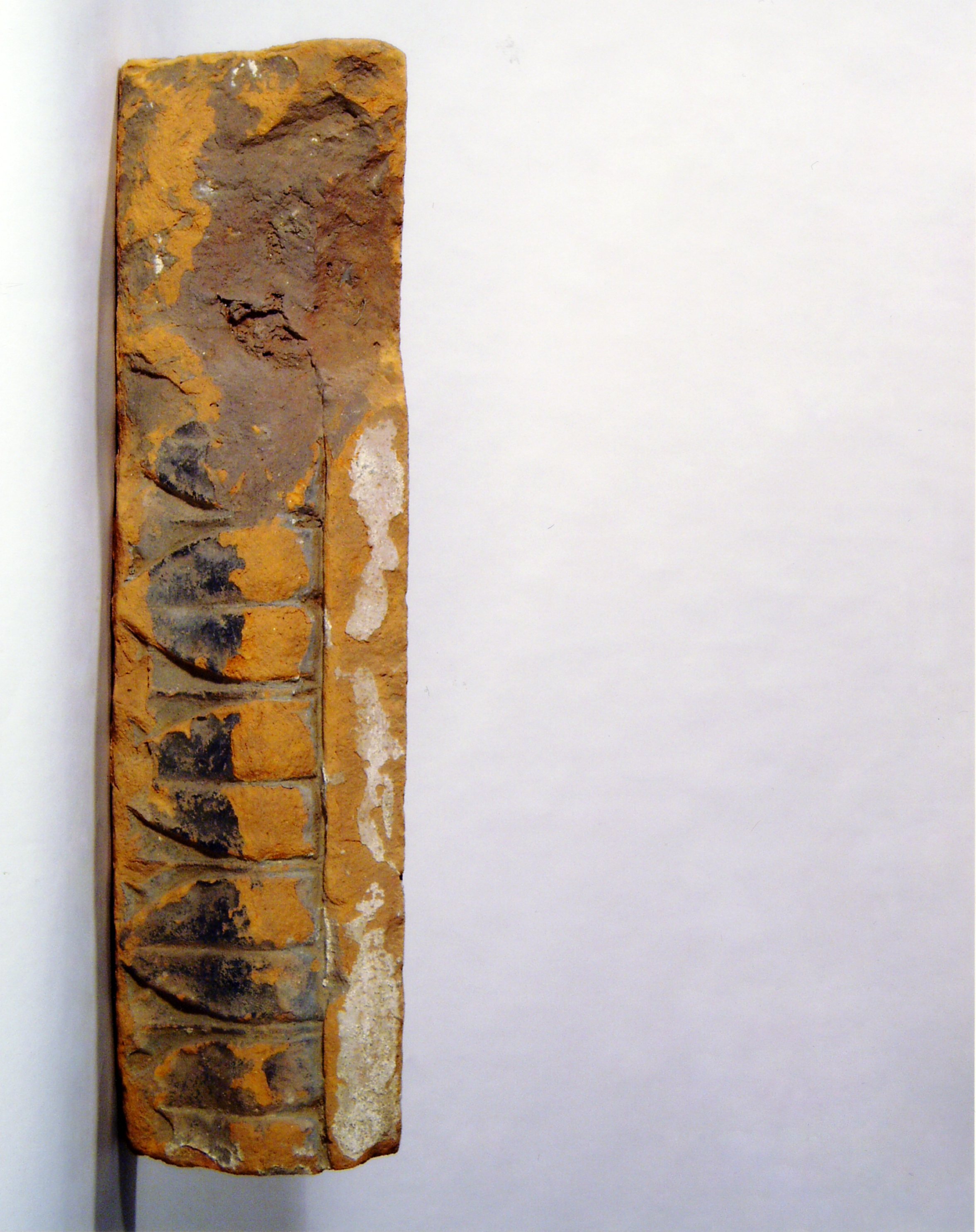 motivo decorativo fitomorfo (elemento di decorazione architettonica a rilievo - profilo a gola rovescia) - manifattura mantovana (?) (XV/XX)