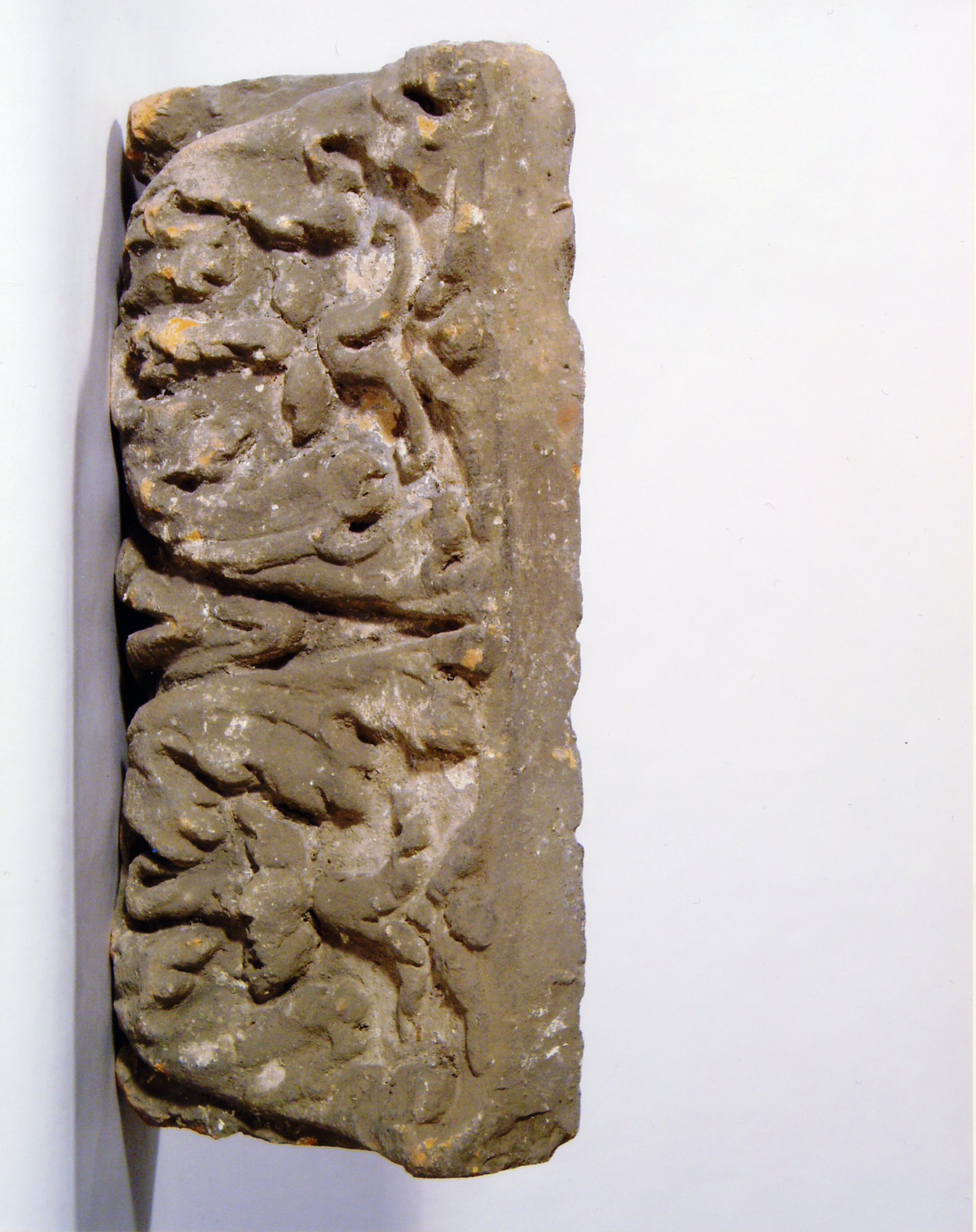 motivo decorativo a foglie d'acanto e palmette (elemento di decorazione architettonica a rilievo - profilo a gola diritta) - manifattura mantovana (?) (XV)