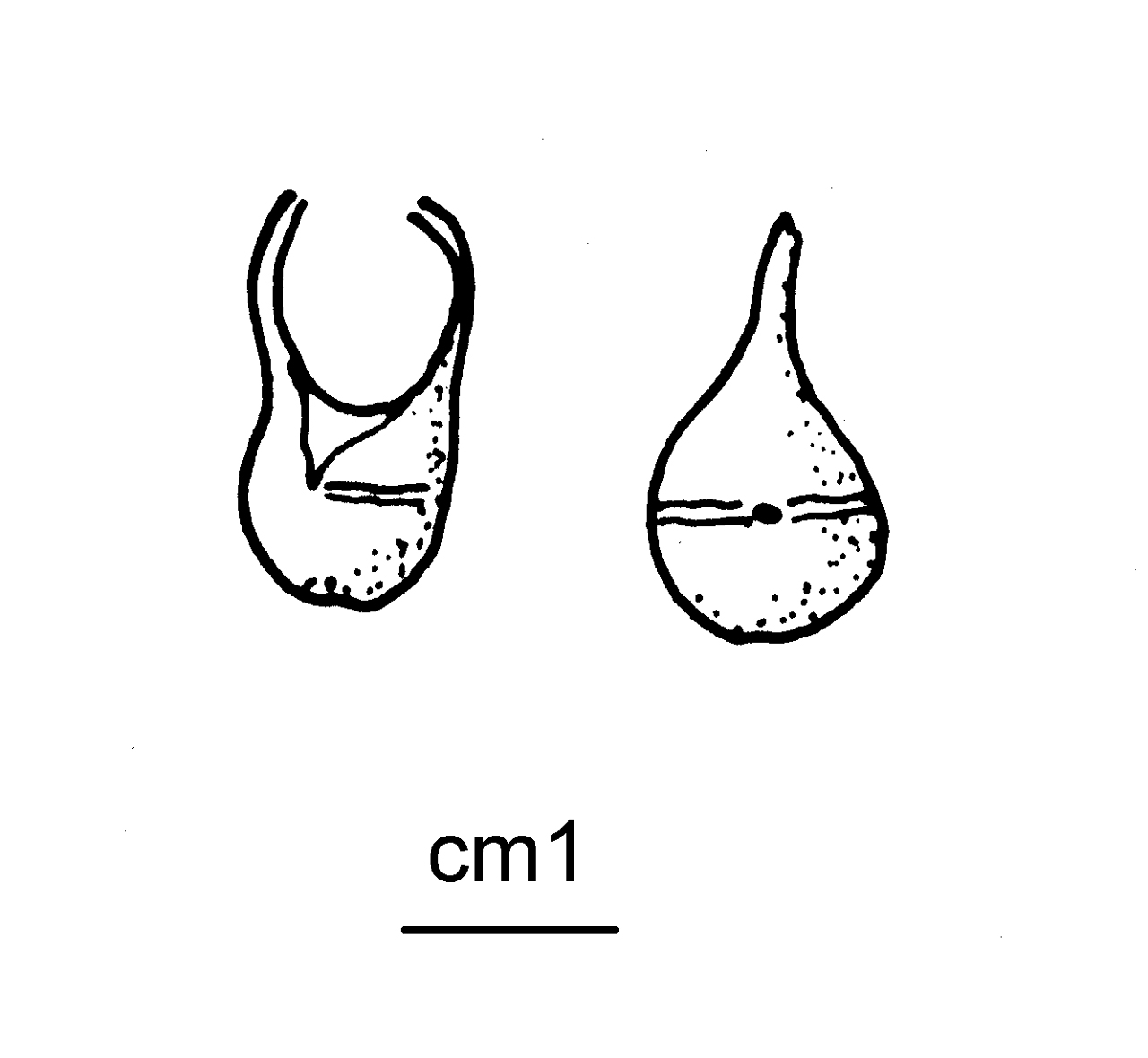 pendaglio, Peroni 60,6 - Cultura di Golasecca (seconda metà VI a.C)