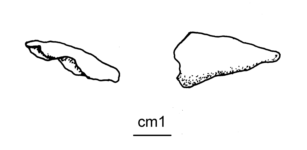 fibula a sanguisuga, Peroni 54,5 - cultura di Golasecca (seconda metà VI a.C)