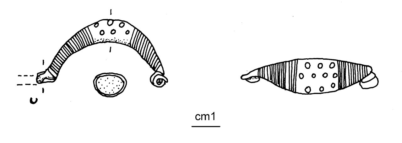 fibula a sanguisuga, Peroni 54,7 - cultura di Golasecca (G. IIB) (seconda metà VI a.C)