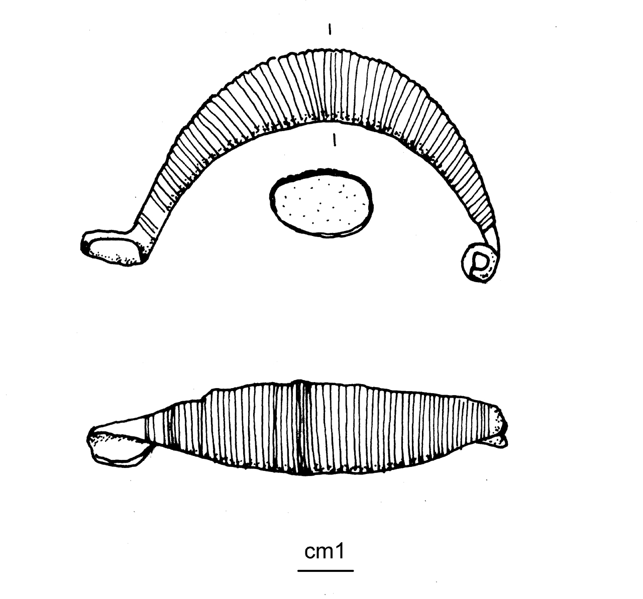 fibula con arco costolato, Peroni 53,3 - cultura di Golasecca (G. IIB) (seconda metà VI a.C)