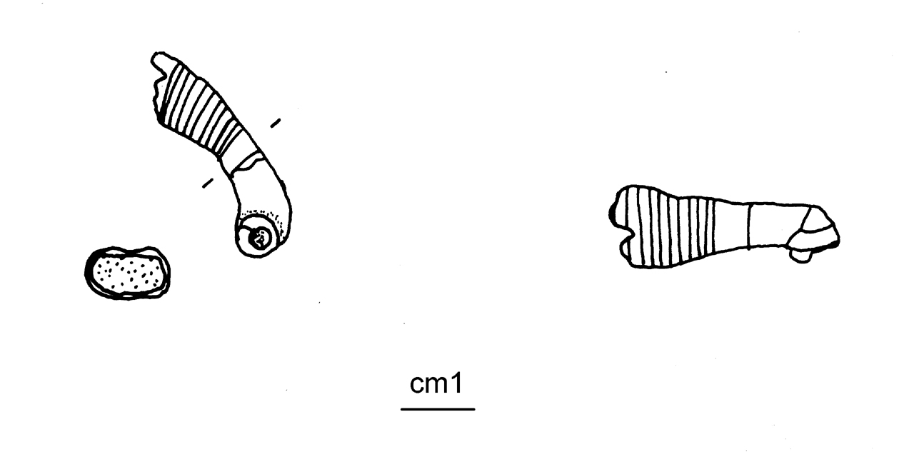 fibula a sanguisuga, Peroni 54,4 - cultura di Golasecca (G. IIB) (seconda metà VI a.C)
