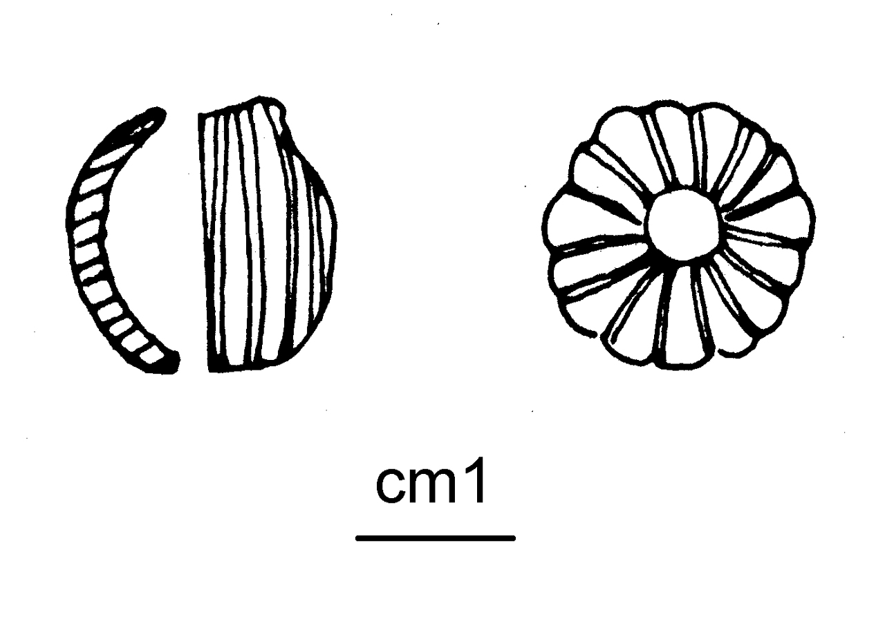 vago - cultura di Golasecca (seconda metà VI a.C)