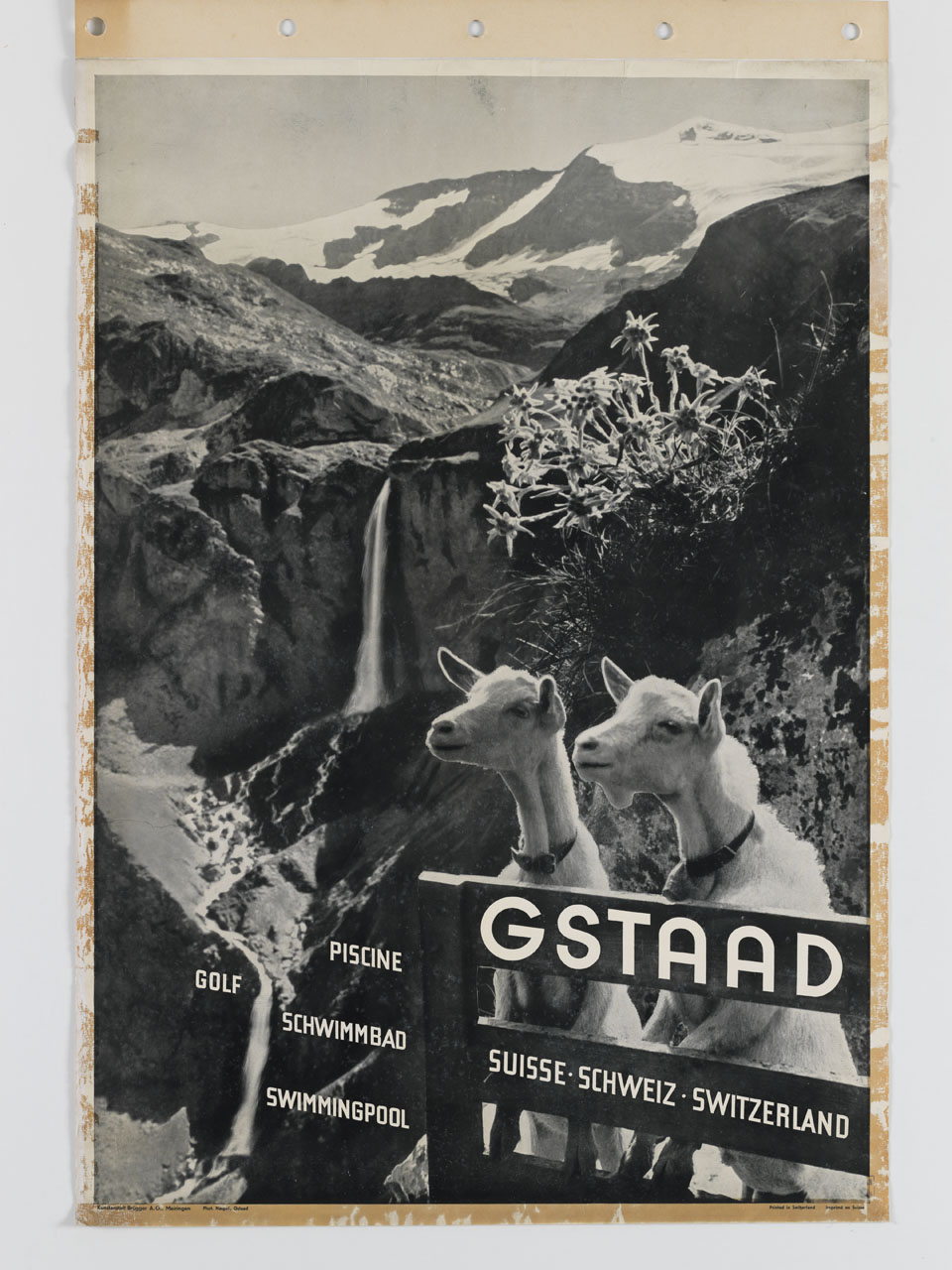 due agnelli si affacciano sporgendosi da una staccionata sullo sfondo di un paesaggio montano con una cascata (manifesto) di Naegeli - ambito svizzero (prima metà sec. XX)