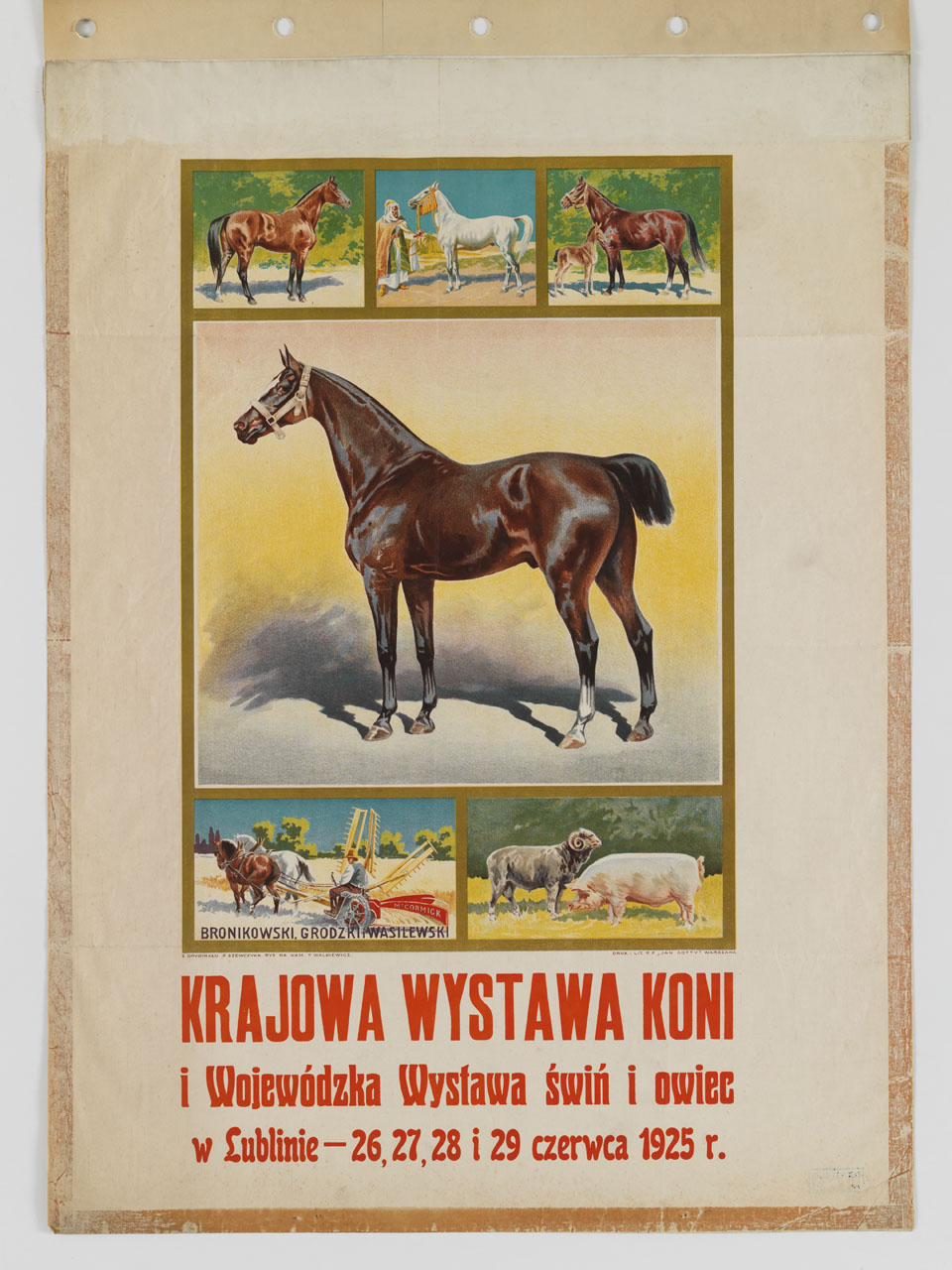 riquadri con cavalli maiale muflone e agricoltore al lavoro con ranghinatore (manifesto) di Szewczyk Feliks, Walkiewicz Feliks (sec. XX)