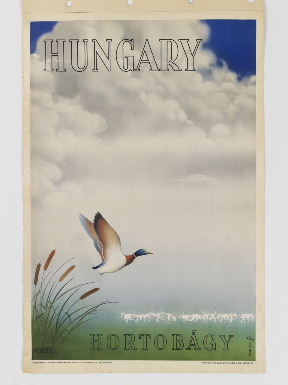 germano reale in volo su pianta palustre e sfondo evanescente con bovini al pascolo (manifesto) di Konecsni György, Fery Antal (sec. XX)