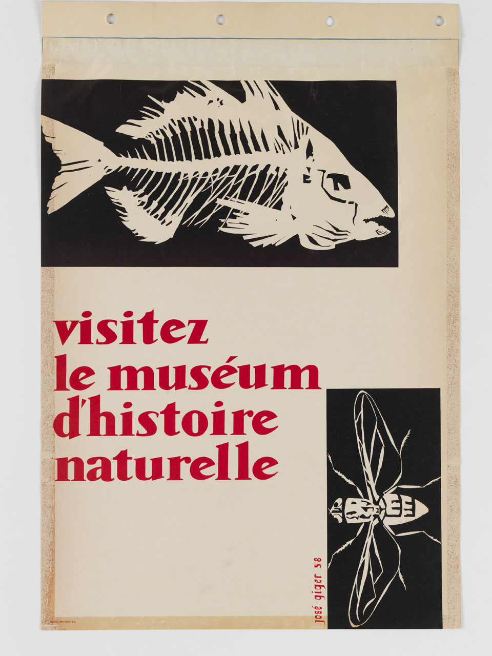 pesce fossile e vespa in bianco e nero (manifesto) di Giger José (sec. XX)