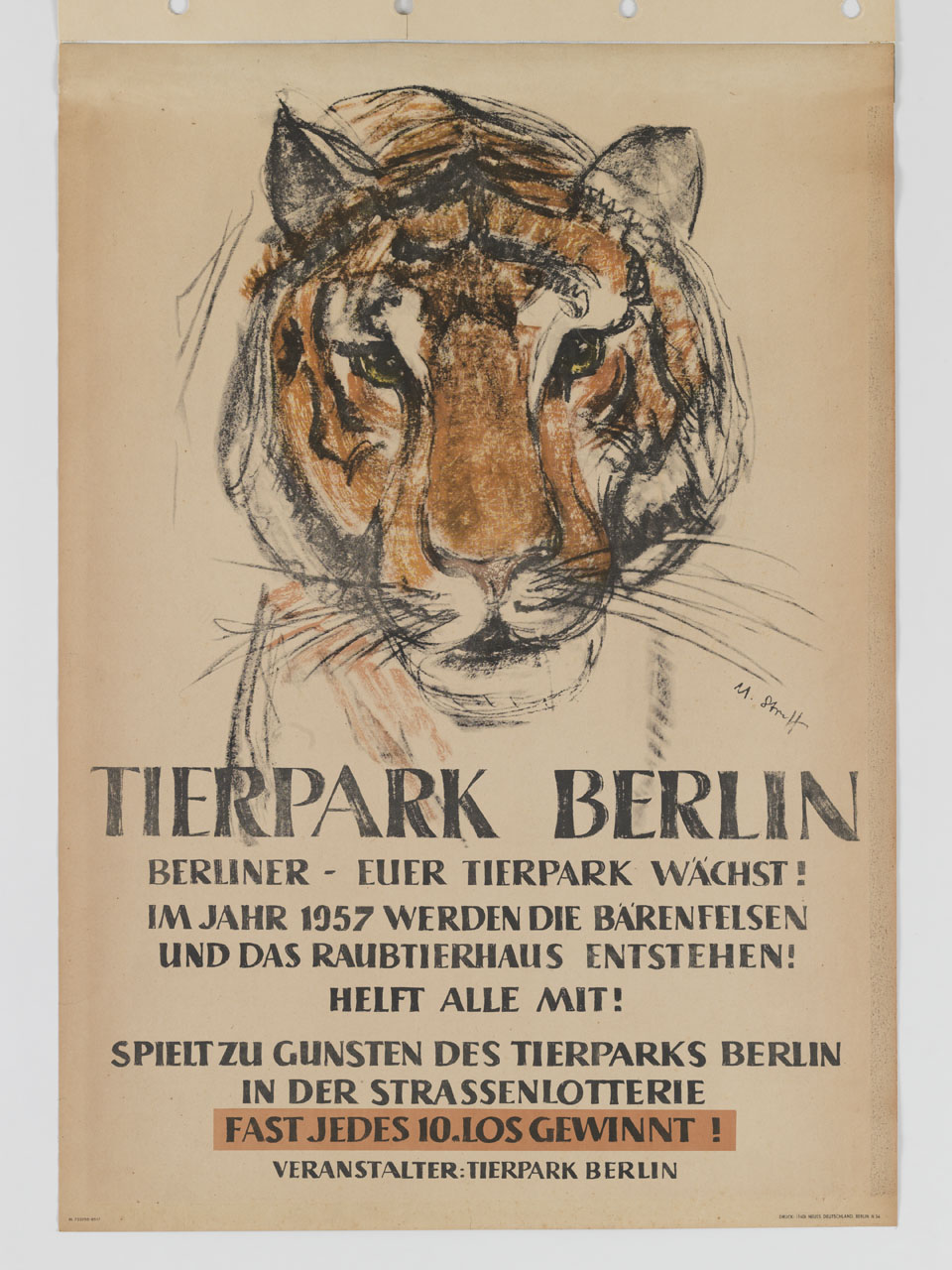 testa di tigre (manifesto) di Strulf M - ambito tedesco (sec. XX)