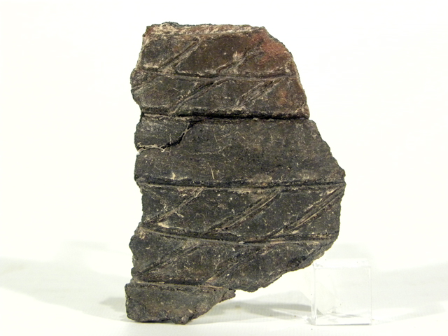 vaso/ parete (fine Eta' del rame)