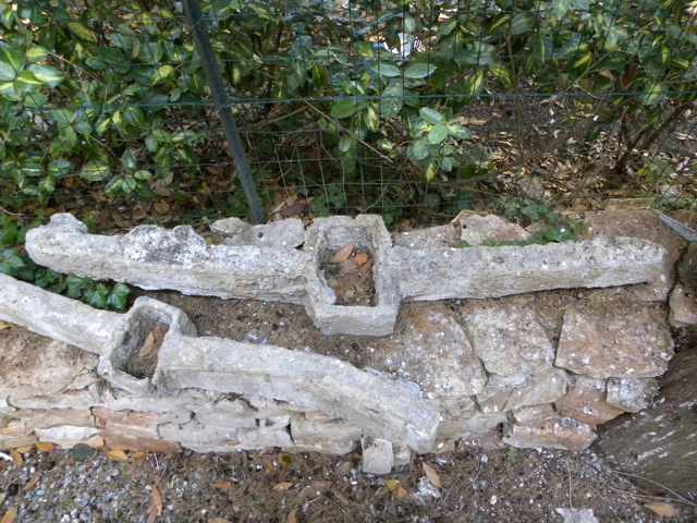 ancora/ ceppo (non id)