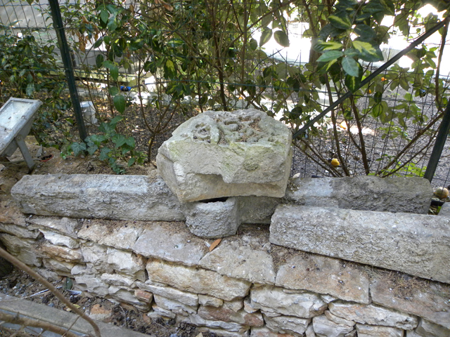 ancora/ ceppo (non id)