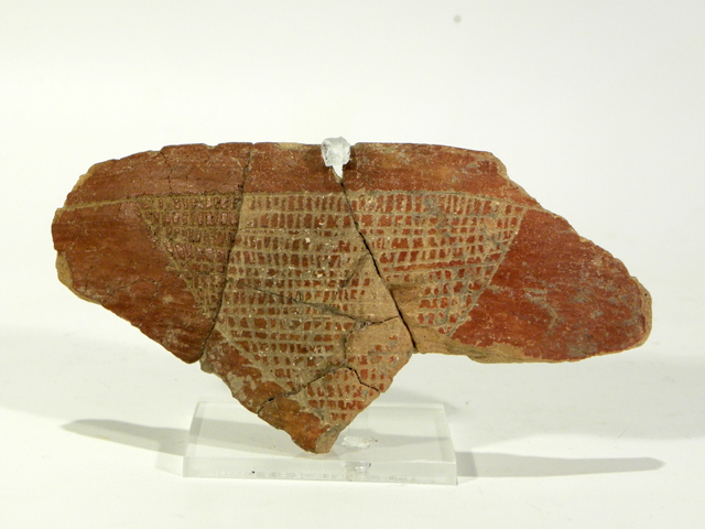ciotola/ frammento (Neolitico medio)