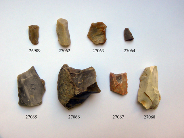 lama (metà Eta' del bronzo)