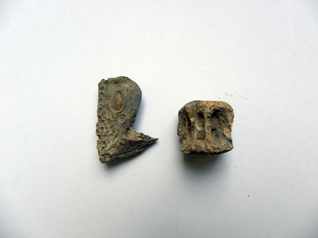 ittioforma/ frammento (fine Eta' del ferro)