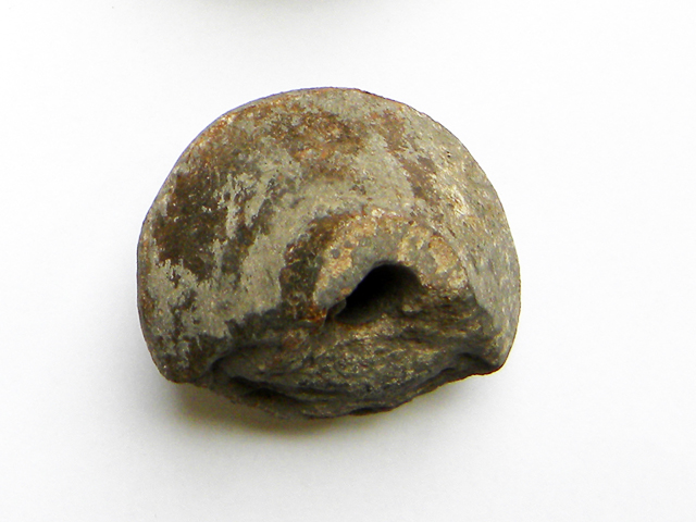 fuseruola (metà Eta' del bronzo)