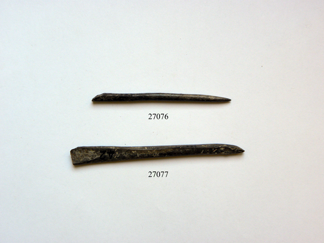 punteruolo (metà Eta' del bronzo)