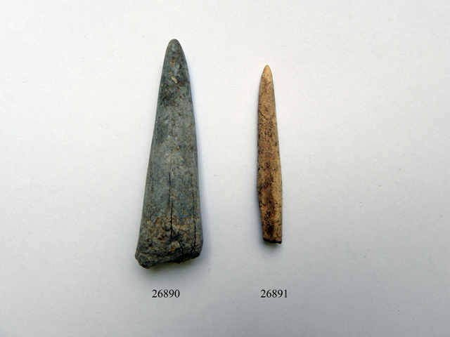 punteruolo (metà Eta' del bronzo)