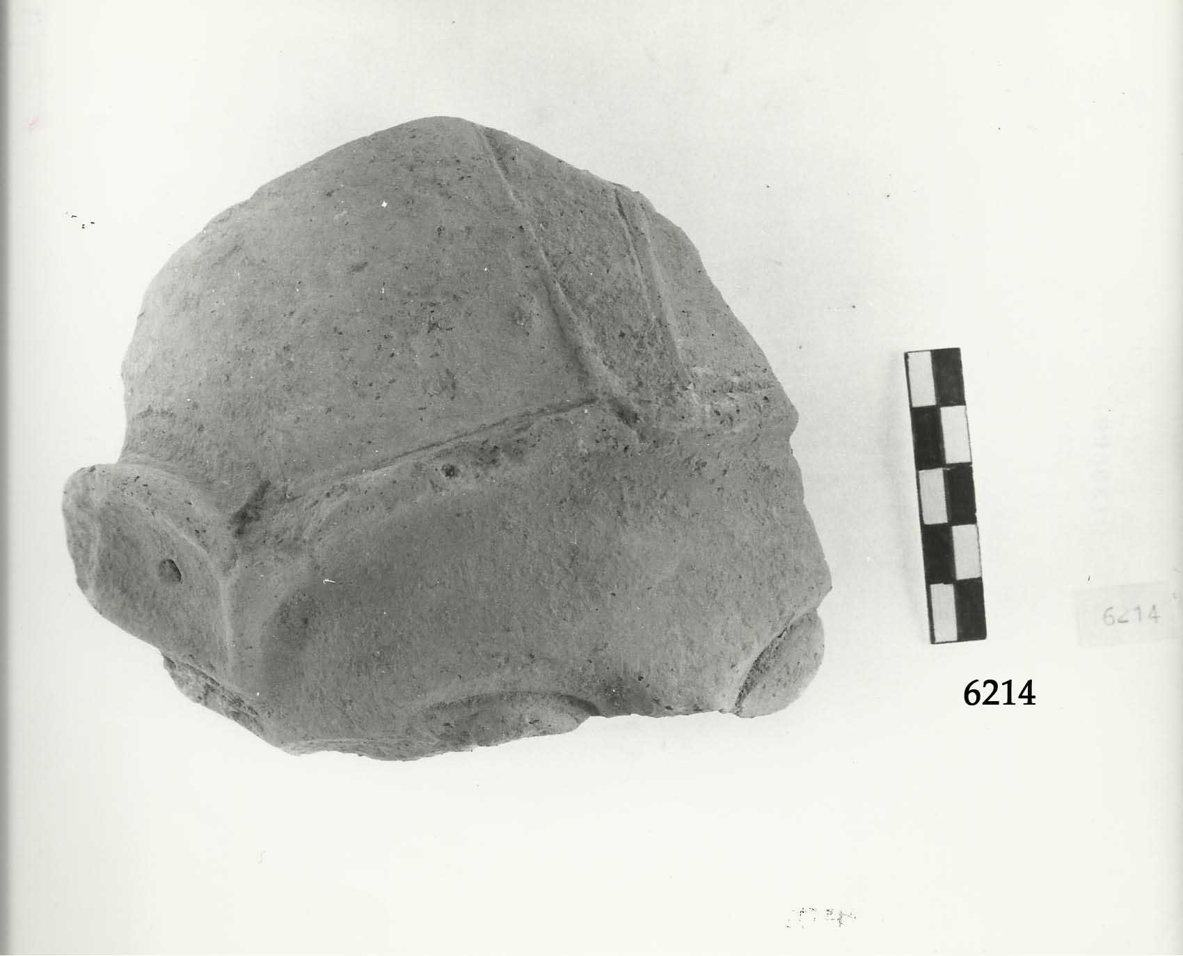 testa, con elmo, Marinucci Fr. 33, terrecotte votive (IV a.C)