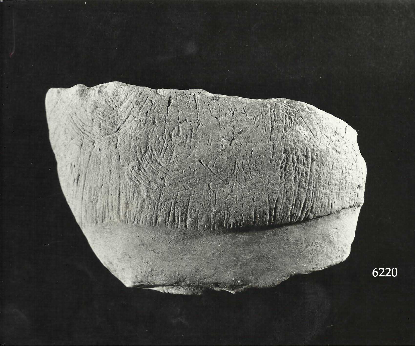 testa, frammento, terrecotte votive (III a.C)