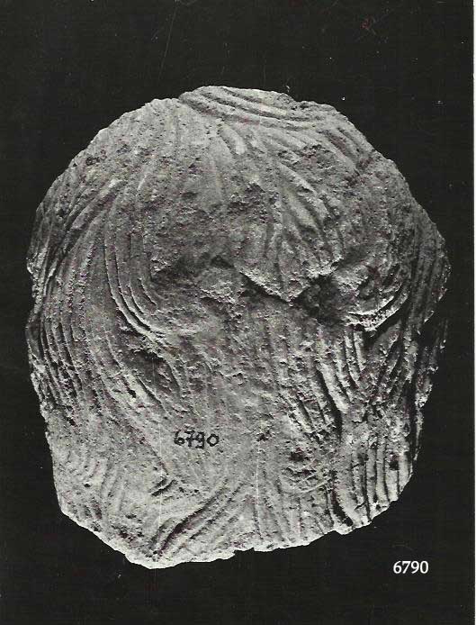 offerente (testa, terrecotte votive) (III a.C)