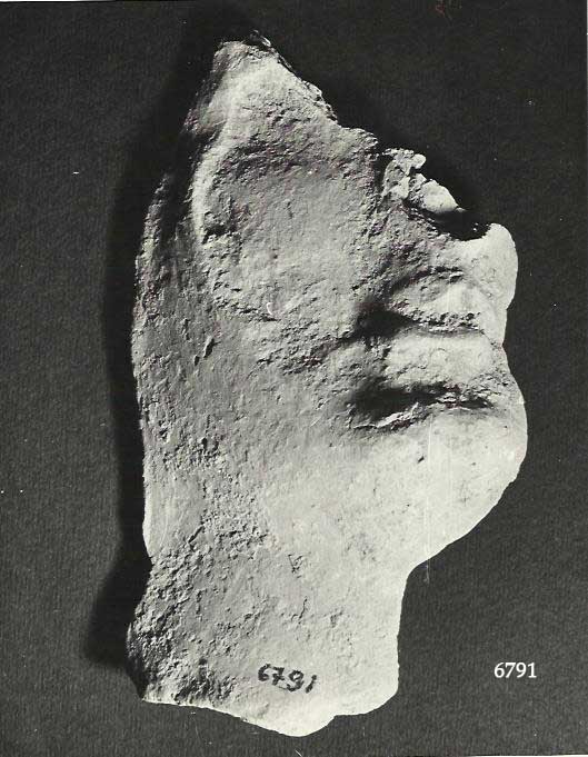 offerente (testa, Cederna, tav. XCI-XCVIII, terrecotte votive) (prima metà III a.C)