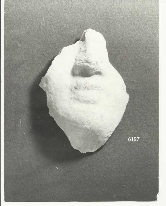 testa, terrecotte votive (III a.C)