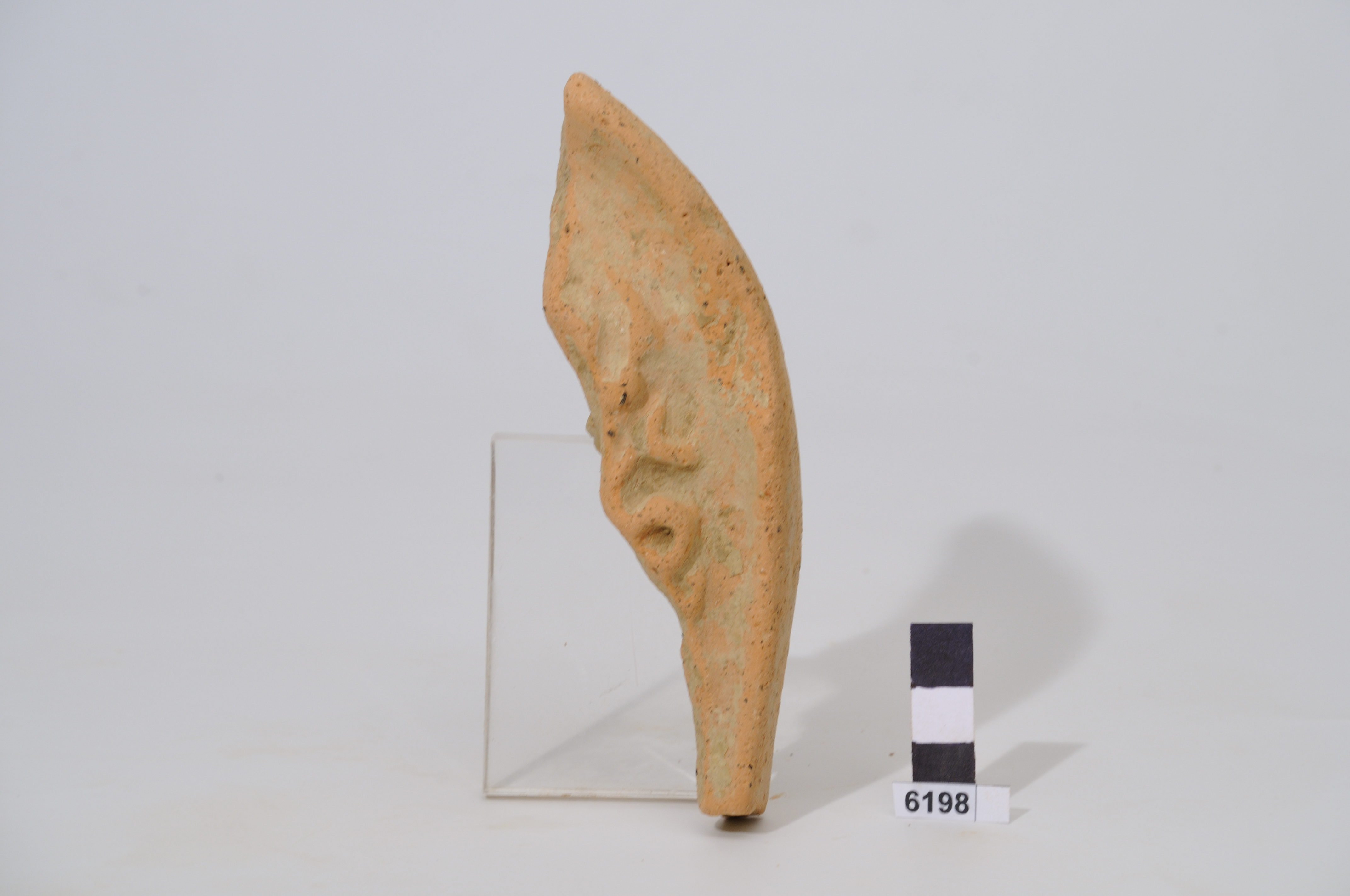 testa, terrecotte votive (III a.C)