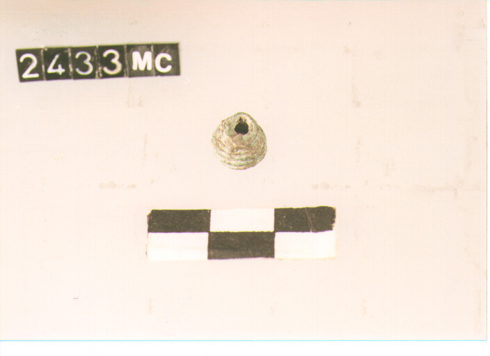 SPIRALE - CULTURA TOMBE A FOSSA (SECC. IX/VIII A.C)