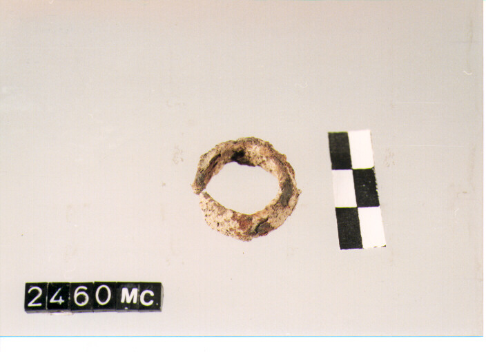 ANELLO DIGITALE - CULTURA TOMBE A FOSSA (SECC. IX/VIII A.C)