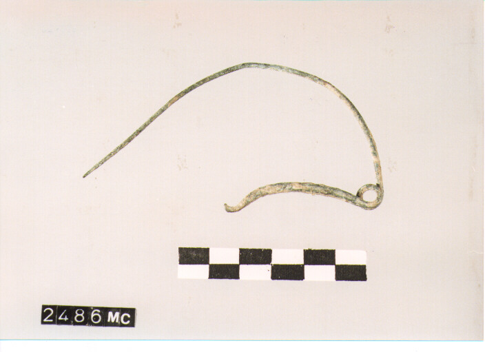 FIBULA SERPEGGIANTE - CULTURA TOMBE A FOSSA (SECC. IX/VIII A.C)