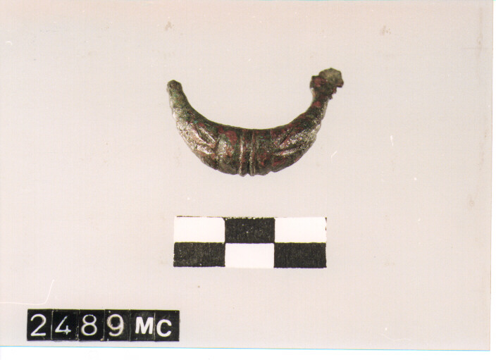 fibula a sanguisuga - CULTURA TOMBE A FOSSA (secc. VIII/ VII a.C)